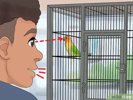 Image titled Interact with Your Conure Step 8