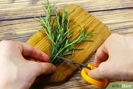 Image titled Use Rosemary in Cooking Step 2
