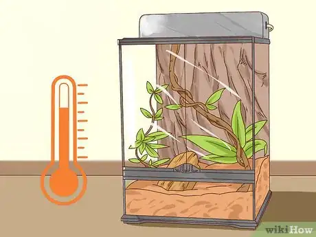 Image titled Care for a Crested Gecko Step 5