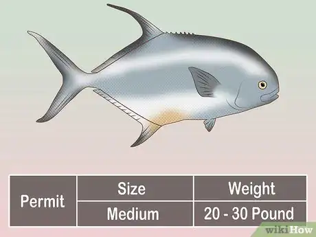 Image titled Create a Setup for Inshore Fishing Step 31