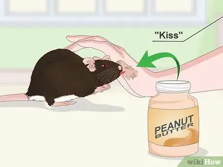Image titled Keep a Pet Rat Happy by Itself Step 12