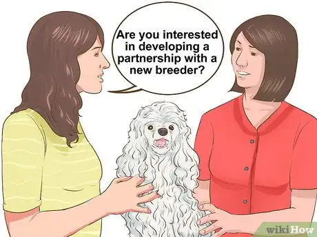 Image titled Choose a Poodle for Breeding Step 5