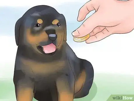 Image titled Train Your Rottweiler Puppy With Simple Commands Step 2