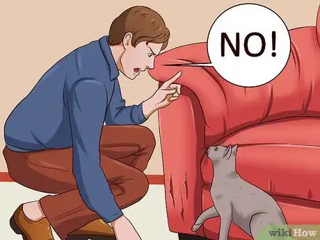 Image titled Stop a Cat from Clawing Furniture Step 7