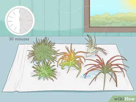 Image titled Water Air Plants Step 4