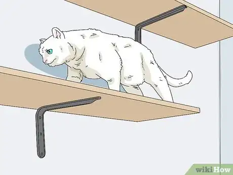 Image titled Make a Cat Comfortable Around You Step 5
