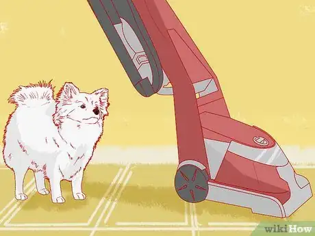 Image titled Teach Your Pet Not to be Scared of the Vacuum Cleaner Step 3.jpeg