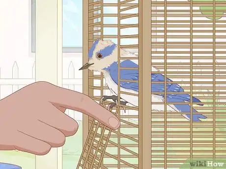 Image titled Train Your Bird Step 4