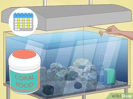 Image titled Grow Coral in an Aquarium Step 17