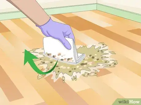 Image titled Clean Vomit from Wood Floors Step 2