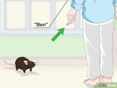 Image titled Keep a Pet Rat Happy by Itself Step 11
