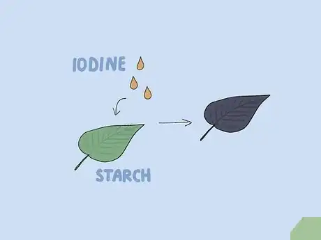 Image titled Prepare Iodine Solution Step 1