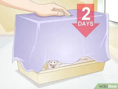 Image titled Prepare for a Pet Hamster for the First Time Step 10