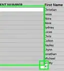Add Autonumber in Excel