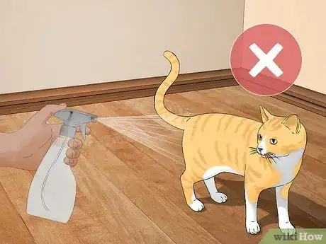 Image titled Use a Spray Bottle on a Cat for Training Step 2