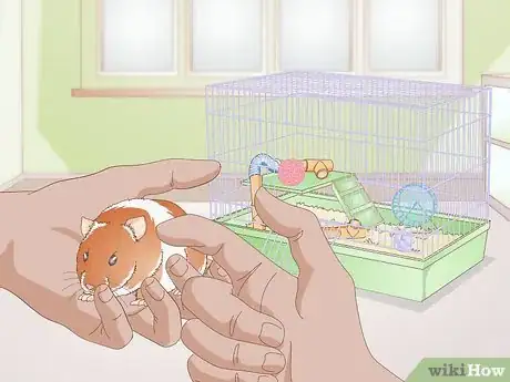 Image titled Make Your Hamster Happy Step 8