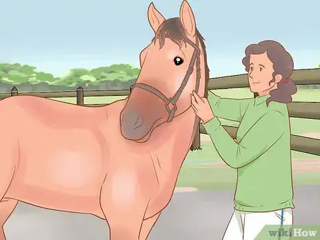 Image titled Meet a Horse for the First Time Step 7