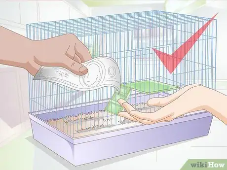 Image titled Deal with Baby Hamsters Step 13