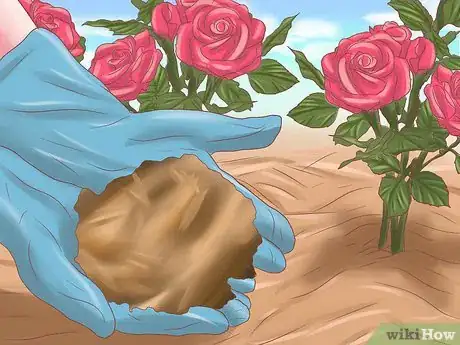 Image titled Make Roses Last Longer Step 11