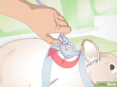 Image titled Make Your Rabbit a Leash Step 3