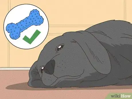 Image titled Why Do Dogs Sigh Step 4