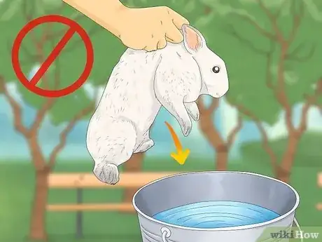 Image titled Bathe Your Pet Rabbit Step 5