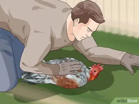 Image titled Protect Yourself from an Attacking Rooster Step 9