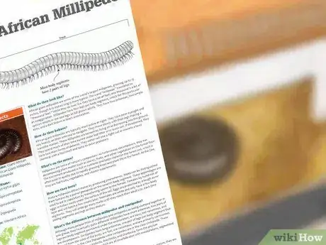 Image titled Care for Giant African Millipedes Step 10