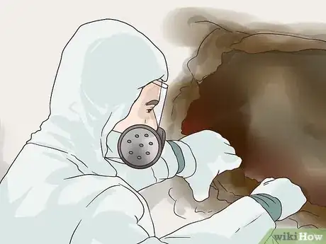 Image titled Identify Black Mold Step 10