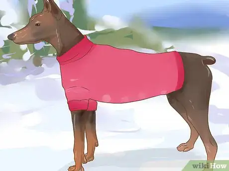 Image titled Dress a Dog for Snow Step 2