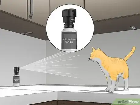 Image titled Use a Spray Bottle on a Cat for Training Step 5