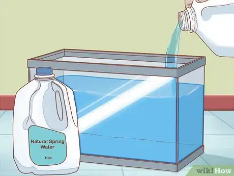 Image titled Care for Triops Step 1