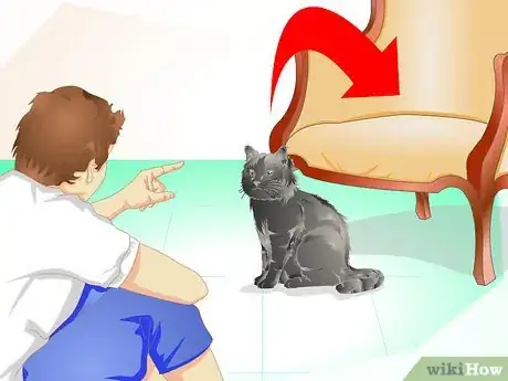Image titled Train a Cat Not to Jump on Your Furniture Step 1
