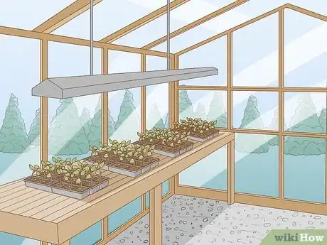 Image titled Arrange the Inside of a Greenhouse Step 12
