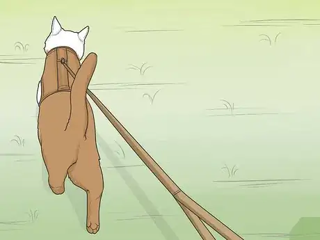 Image titled Gain a Cat's Trust Step 14