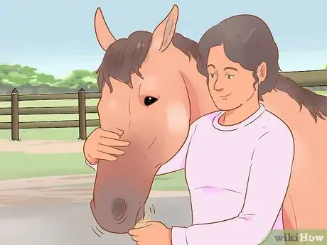 Image titled Meet a Horse for the First Time Step 6
