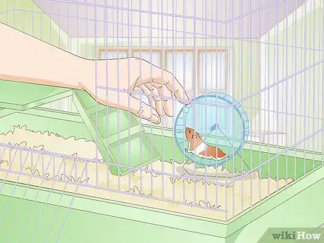 Image titled Make Your Hamster Happy Step 5