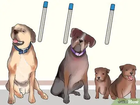 Image titled Test Dog DNA and Analyze Parentage Step 6