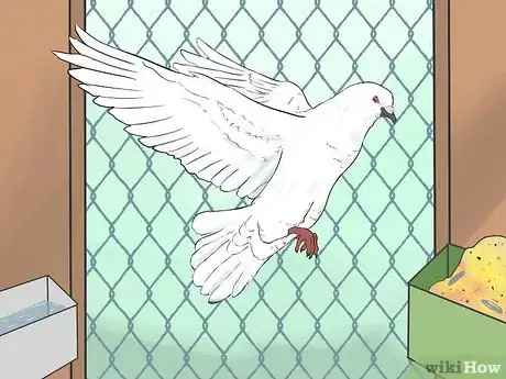 Image titled Know if Doves Are Right for You Step 6