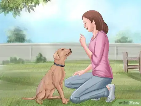 Image titled Teach Your Dog to Sit Step 1