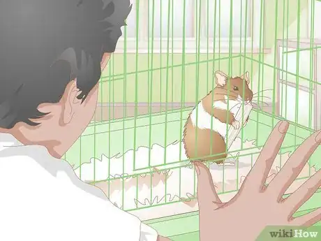 Image titled Make Hamster Chew Sticks Step 13