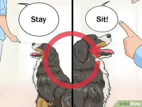 Image titled Stop a Dog from Herding Step 3