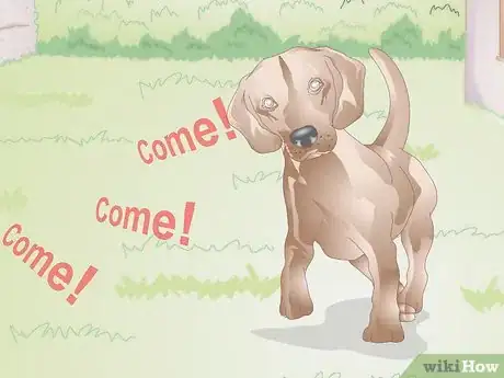 Image titled Teach Your Older Dog Basic Commands Step 10