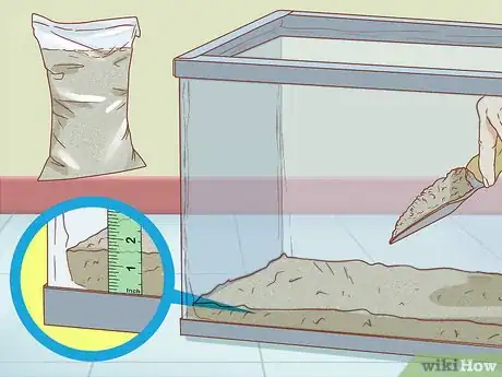 Image titled Care for Triops Step 3