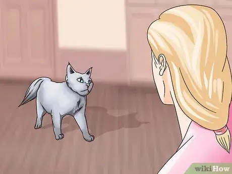 Image titled Get a Cat to Be Your Friend Step 5