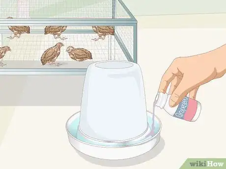 Image titled Know if Your Quail Is Sick Step 27