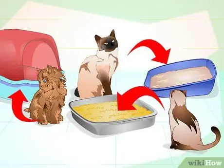 Image titled Maintain Your Kitten's Litter Box Step 14