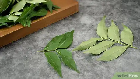 Image titled Use Curry Leaves Step 1
