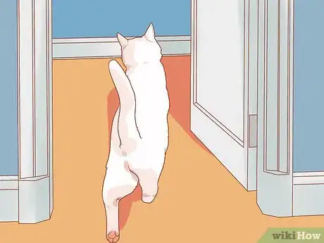 Image titled Encourage Your New Cat to Come Out of Hiding Step 1