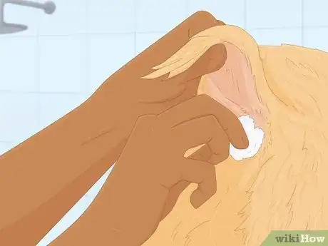 Image titled Groom a Goldendoodle Step 15